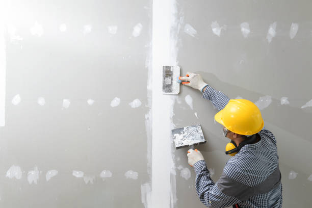 Best Attic Mold Removal  in Plano, KY