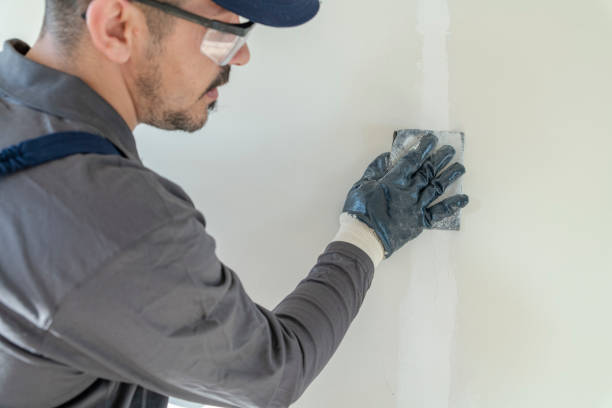 Best Crawl Space Mold Remediation  in Plano, KY
